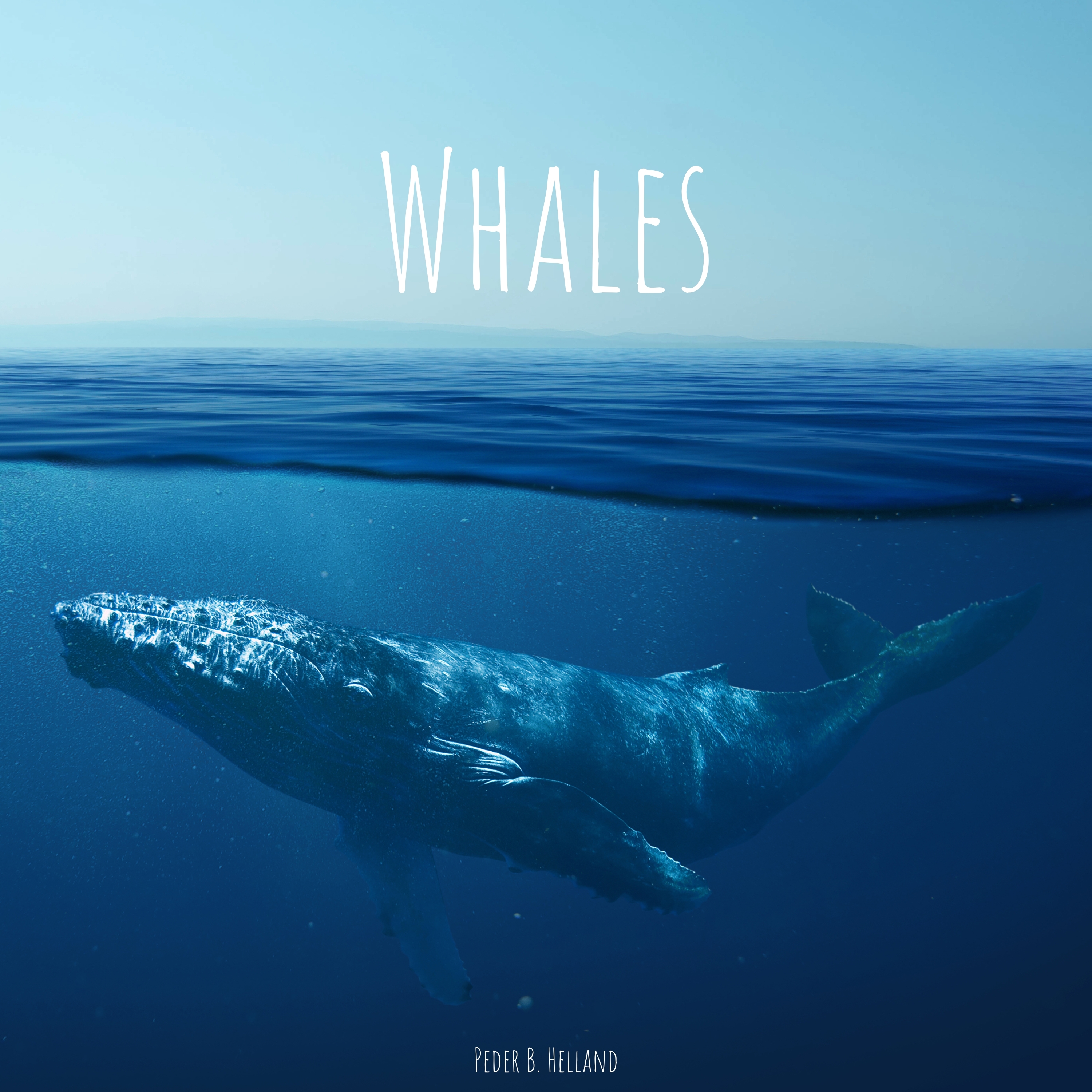 Cover art for the single Whales by Peder B. Helland