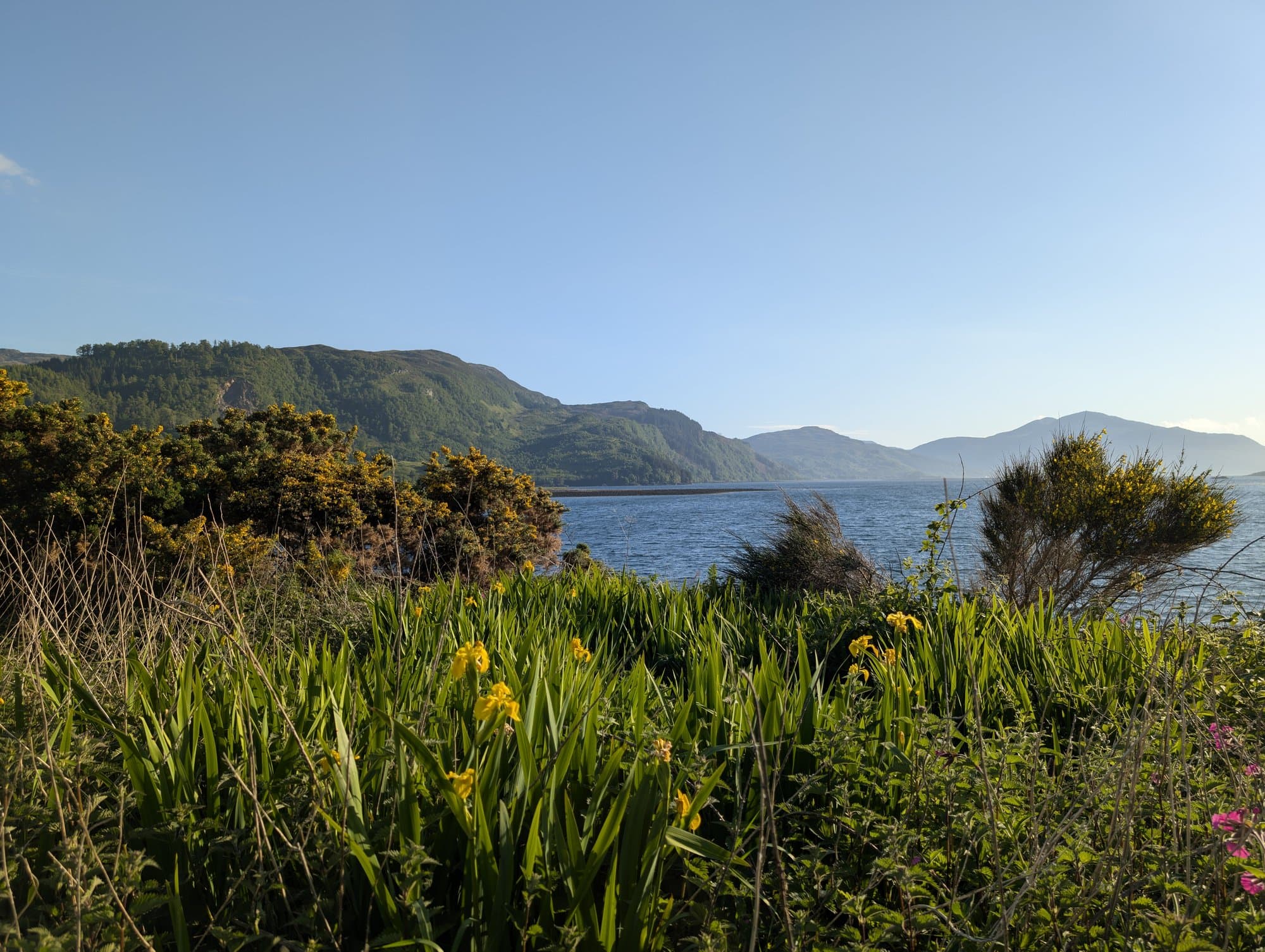 Glen of Wonder (Extended Version) – imagen 2