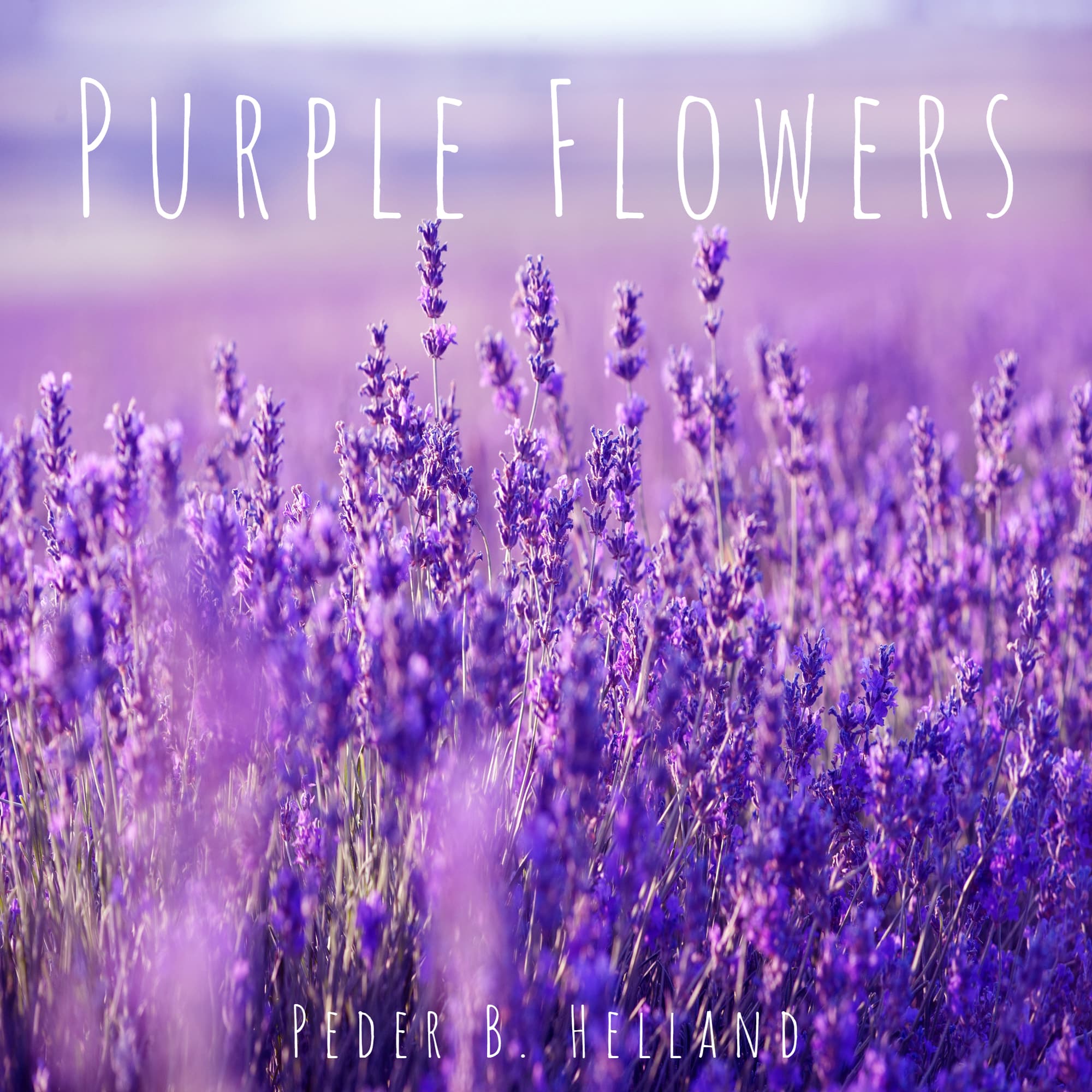 Peder B. Helland 的专辑《Purple Flowers》封面